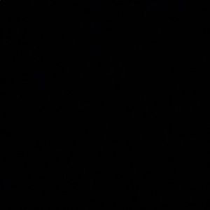 Meet your Posher, Isabella